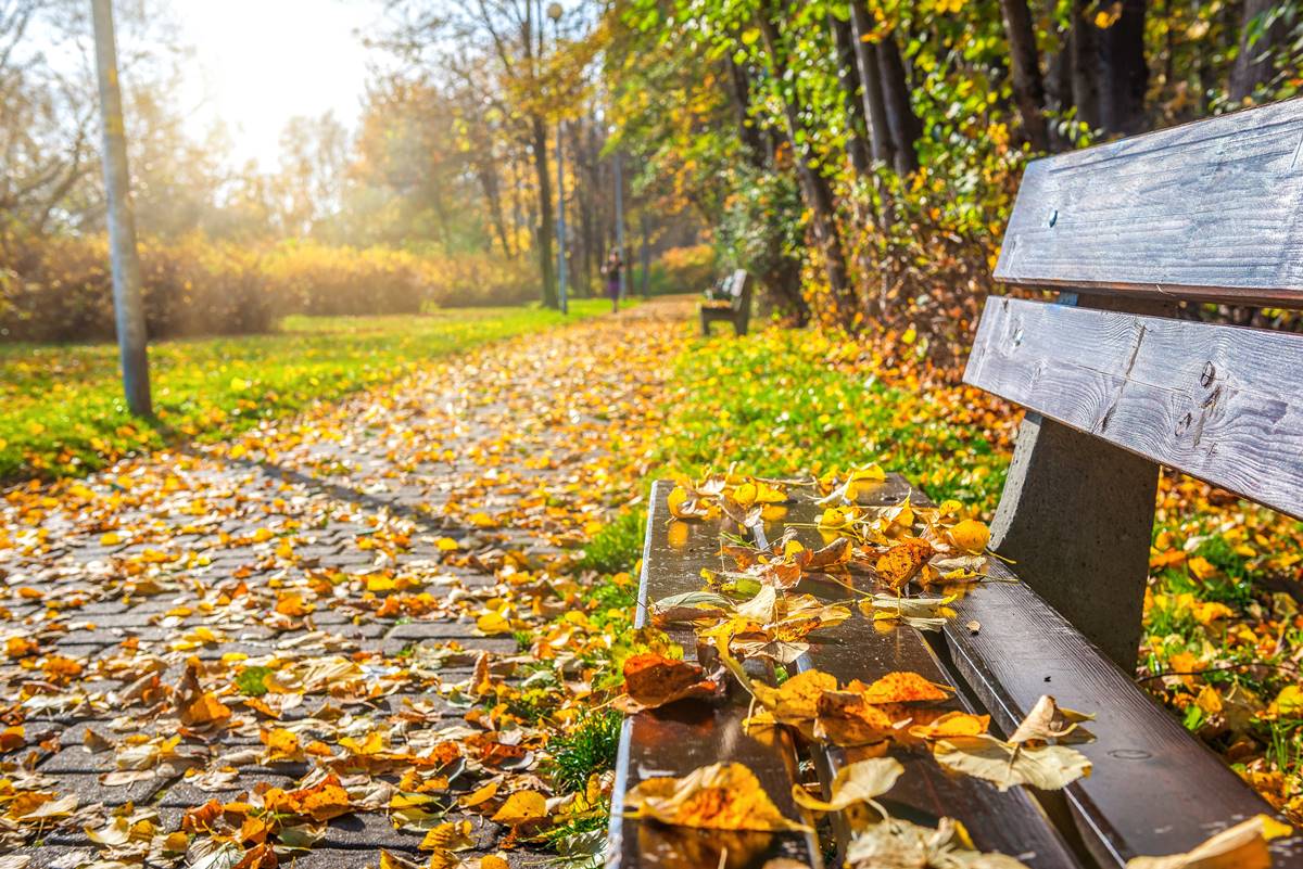 Do Česka se plnou parou řítí zima. Meteorologové varovali před zvláštním jevem, který nastane