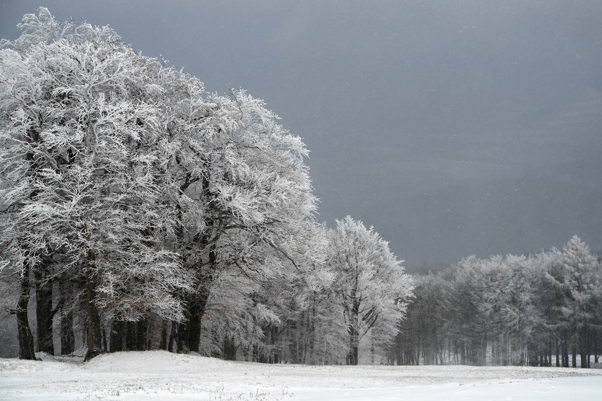 V Česku začal padat podivný sníh. Meteorologové nevěří vlastním očím, tohle není vůbec dobré