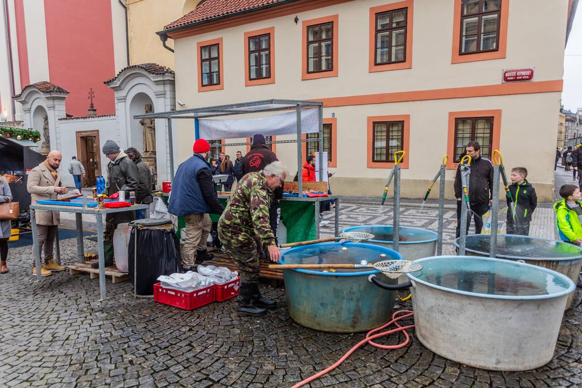 Konec prodeje kaprů v Česku. Takovou ránu lidé nečekali